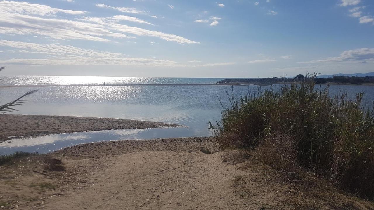 Cap Coudalere Apartment